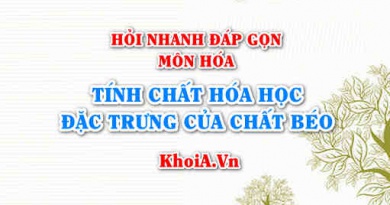 Tính chất hóa học đặc trưng của Chất Béo (Lipit) là gì? Hỏi nhanh đáp gọn môn Hóa